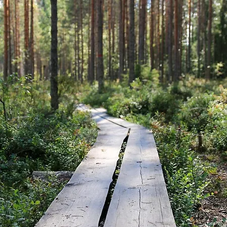 Nuaksen Kruunu Huvilat Vuokatti