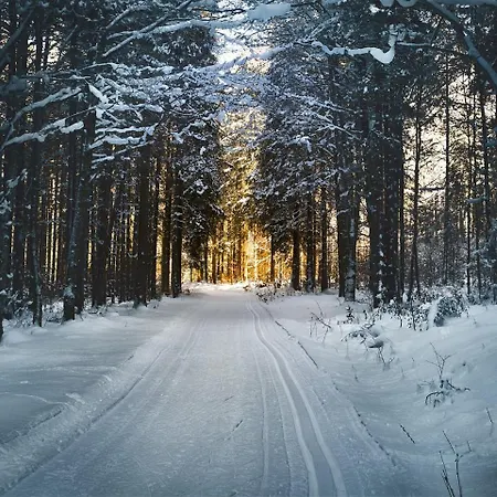 Huvilat Nuaksen Kruunu Vuokatti