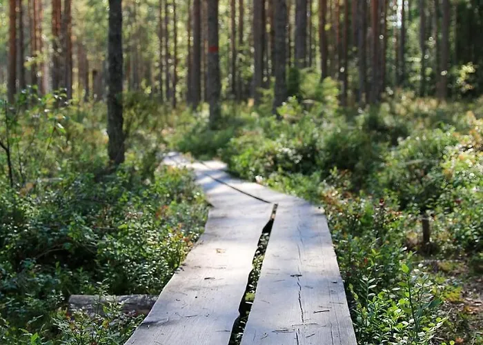 Nuaksen Kruunu Villa Vuokatti