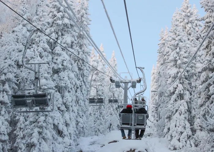 Villa Nuaksen Kruunu Vuokatti