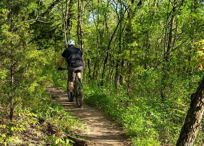 Nuaksen Kruunu Villa Vuokatti