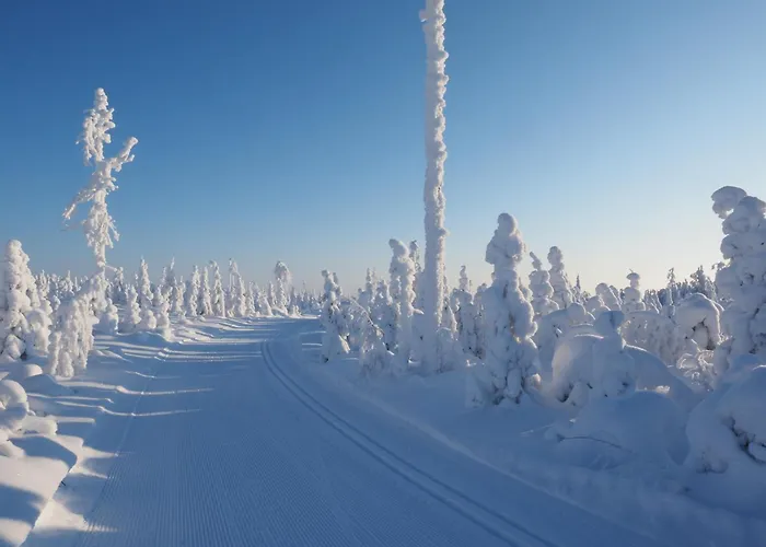 Villa Nuaksen Kruunu *
